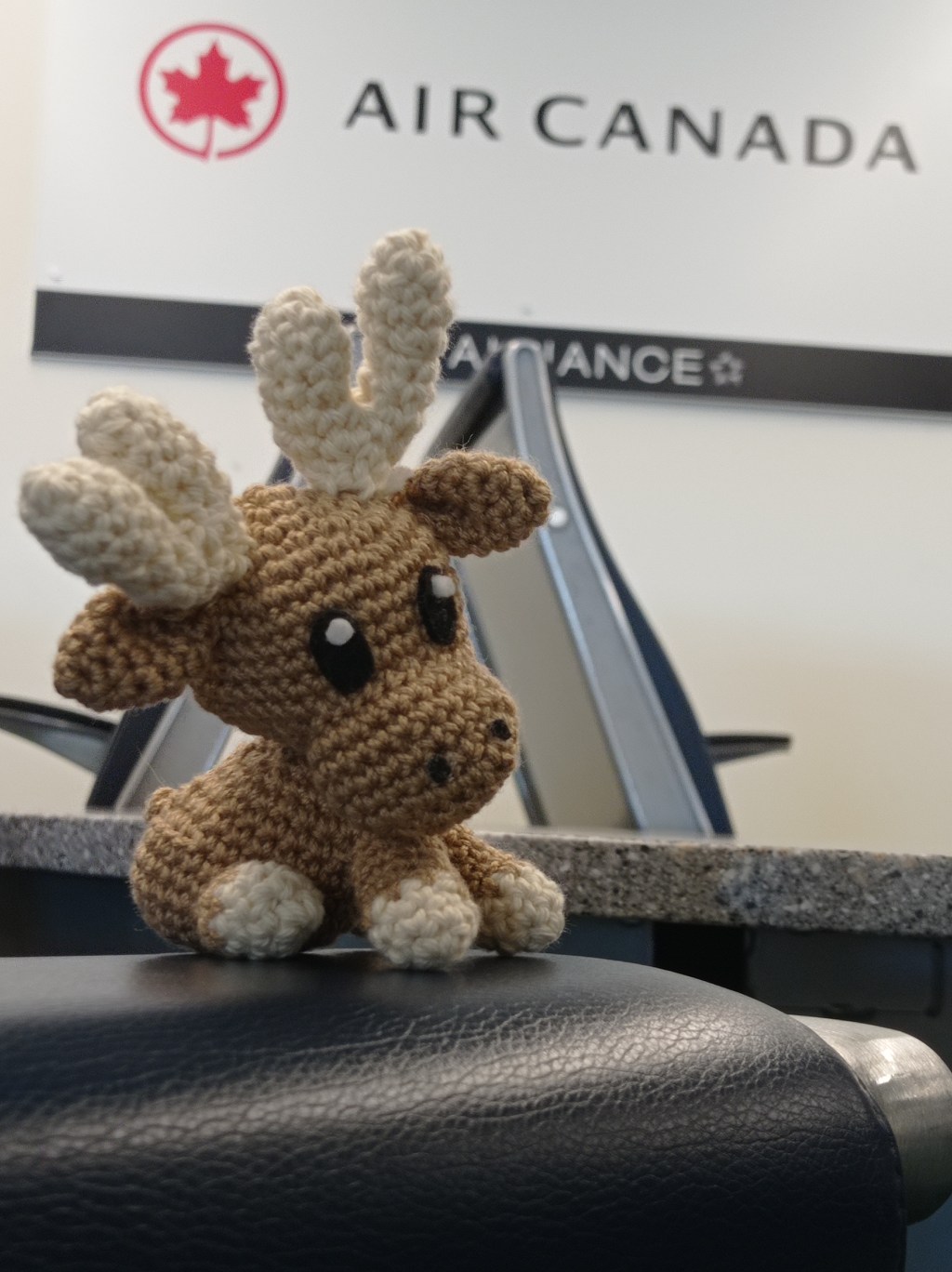 Volem cap al Canadà!