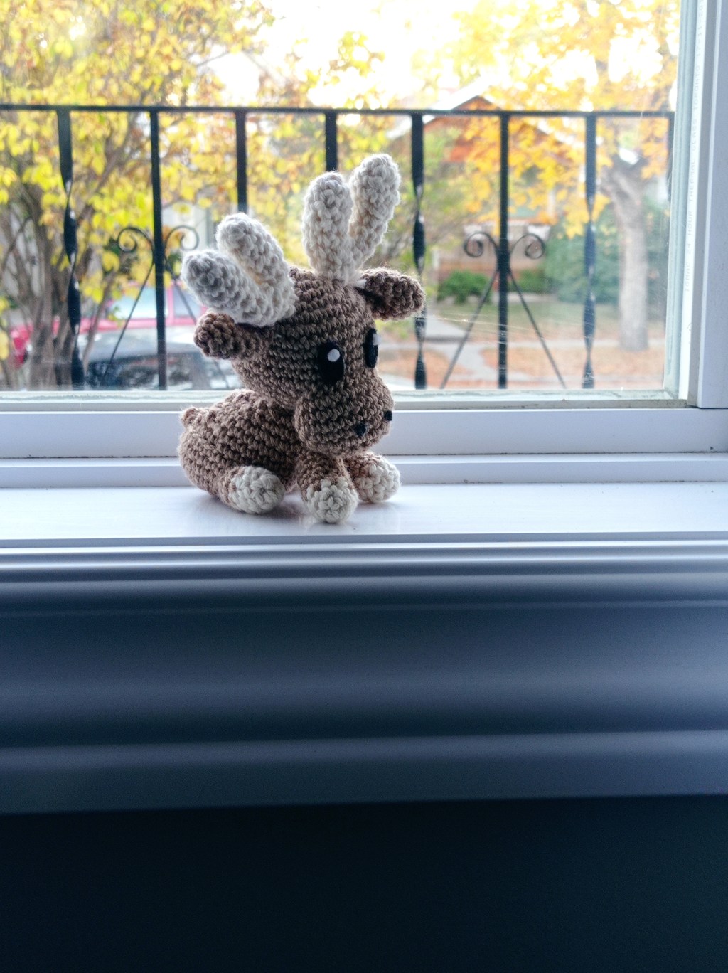 Ens traslladem a la casa nova