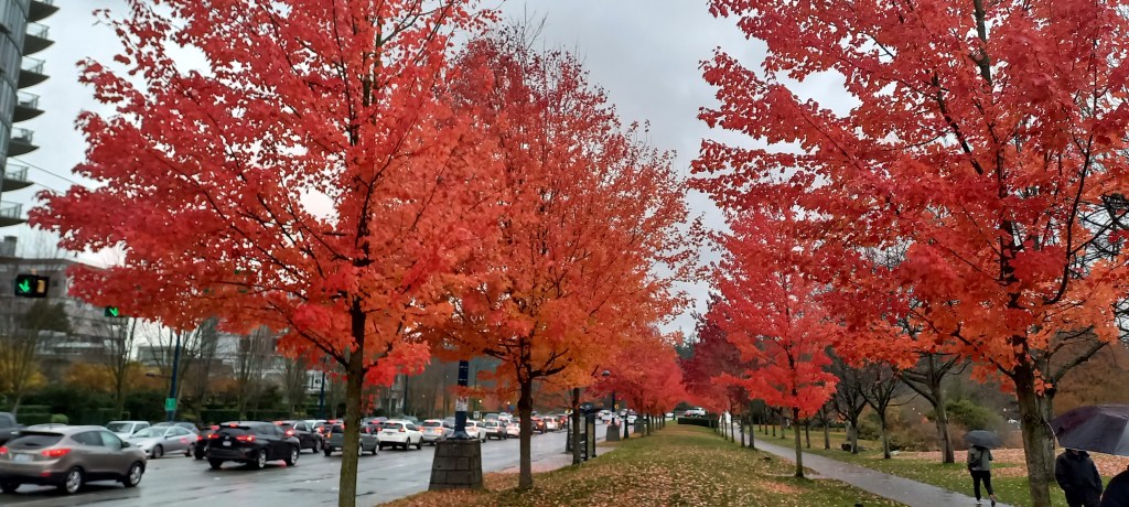 Vancouver aigües mil