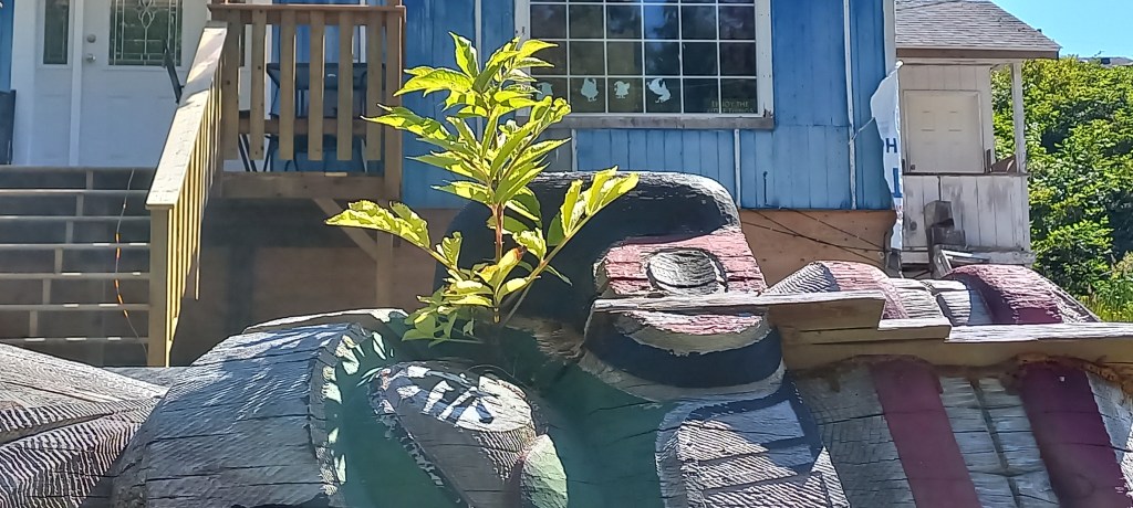 L’illa dels tótems